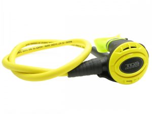 OCTOPUS OCEANUS
